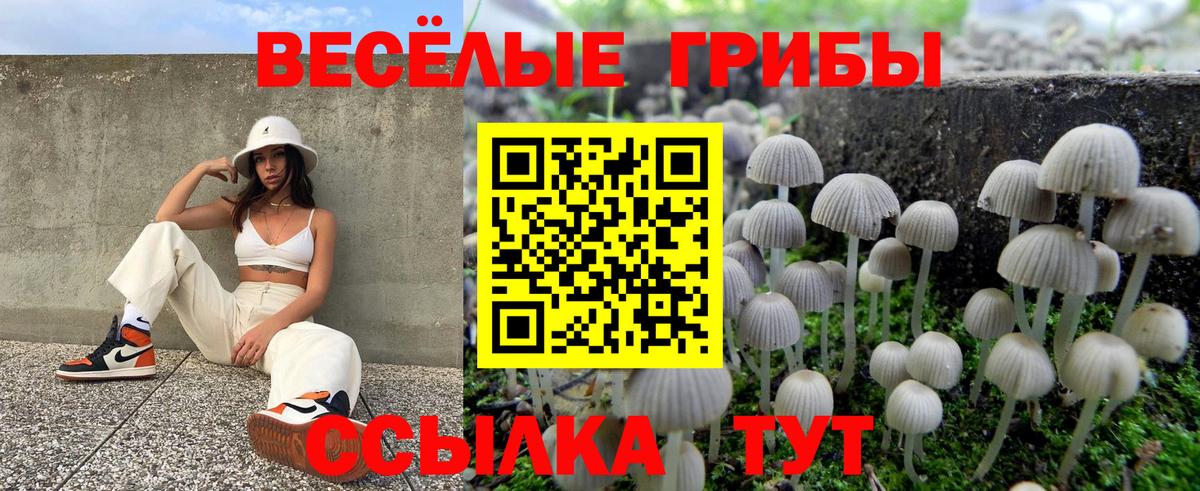 Галлюциногенные грибы мухоморы  Галлюциногенные грибы Psilocybine cubensis  Шебекино  Вход с VPN 